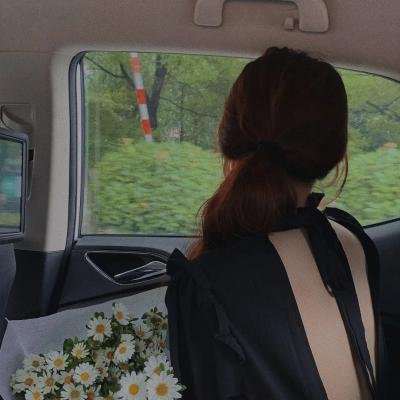 我的情敌女婿