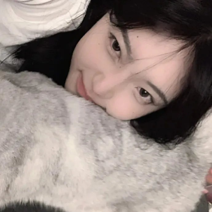 鲨鱼的儿子